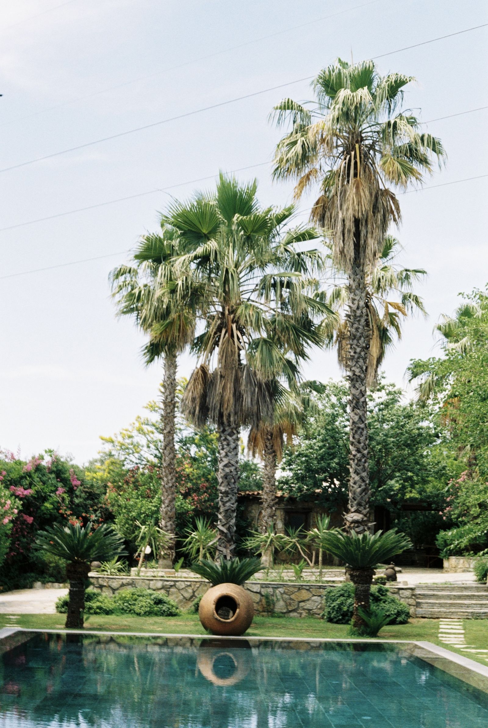The estate at Jungle Eva