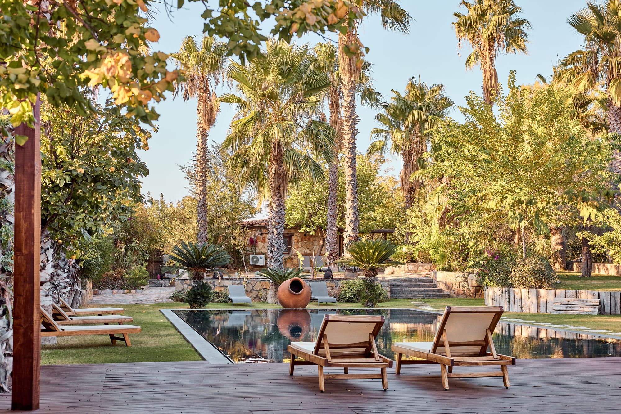 Loungers by the pool