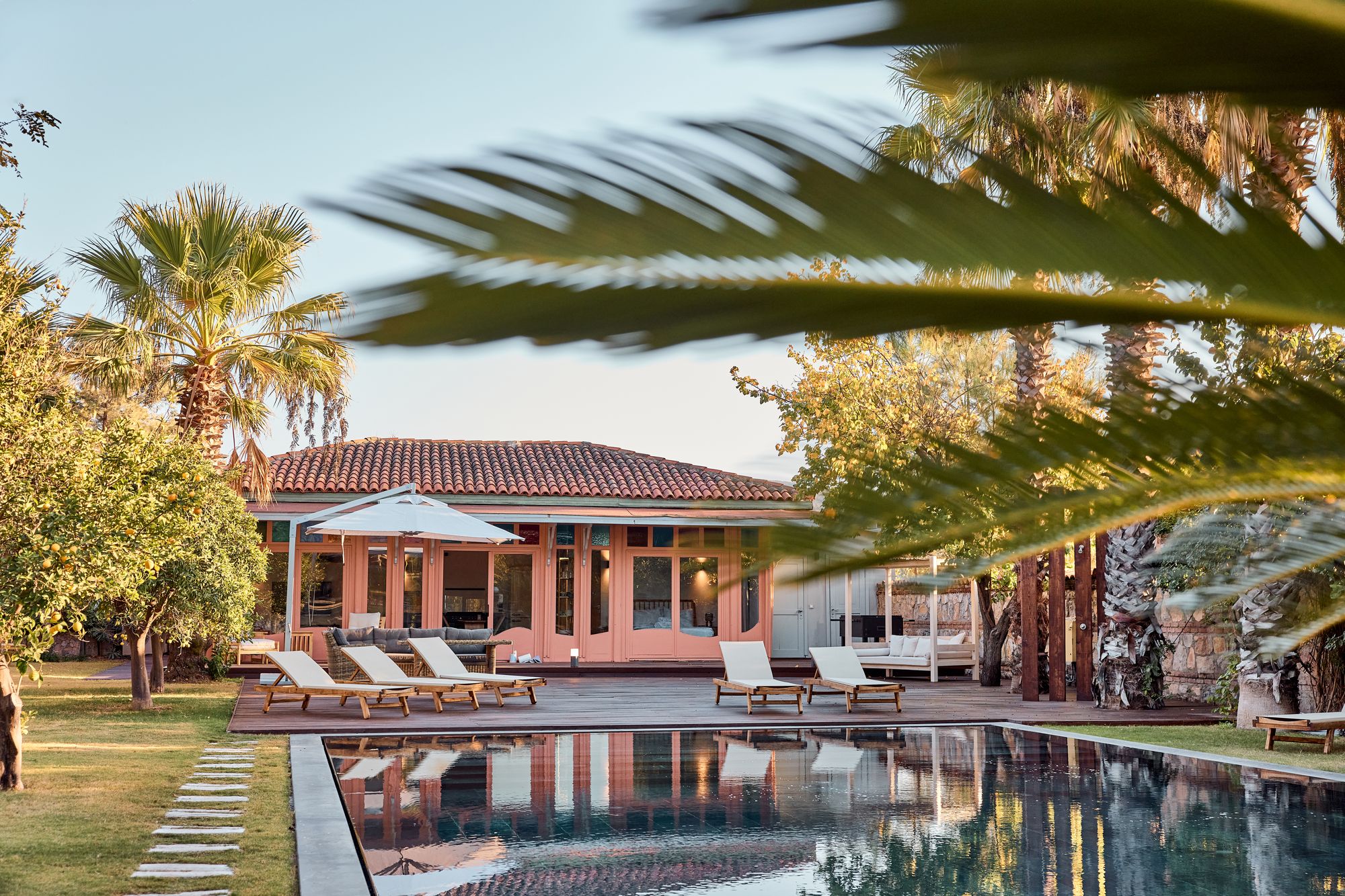 The pool through the palms